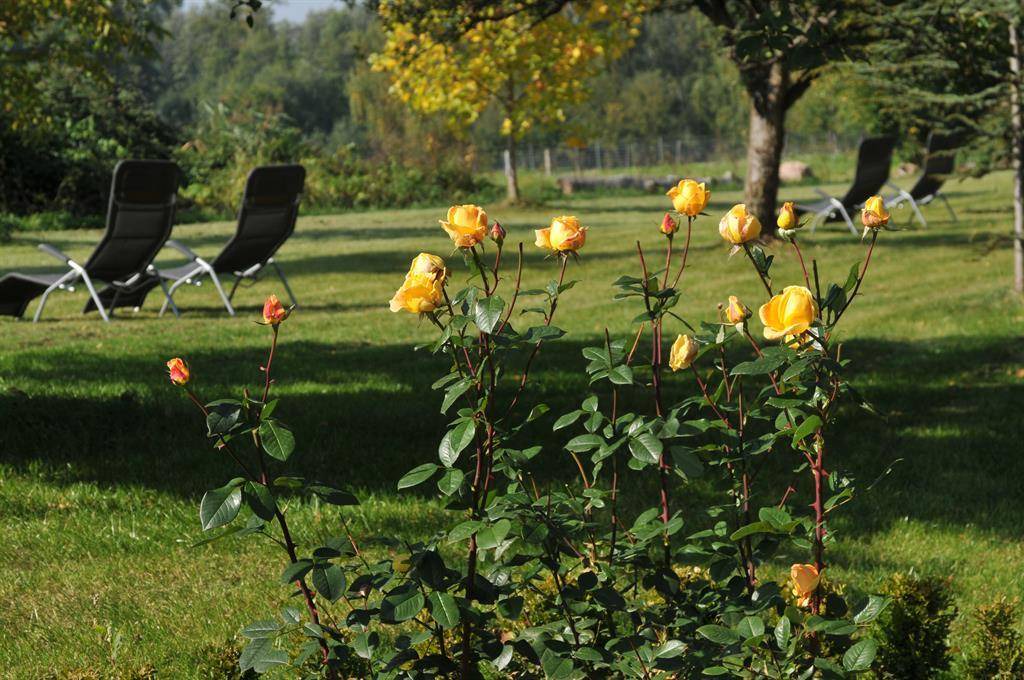 Photo of Others in Buchlberg