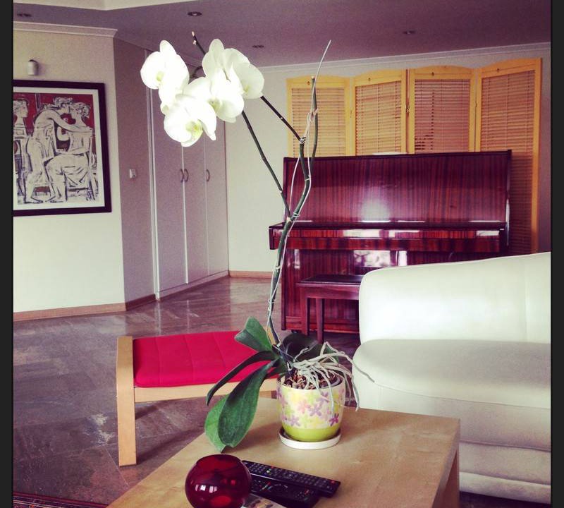 Photo of Livingroom in Tehran Province