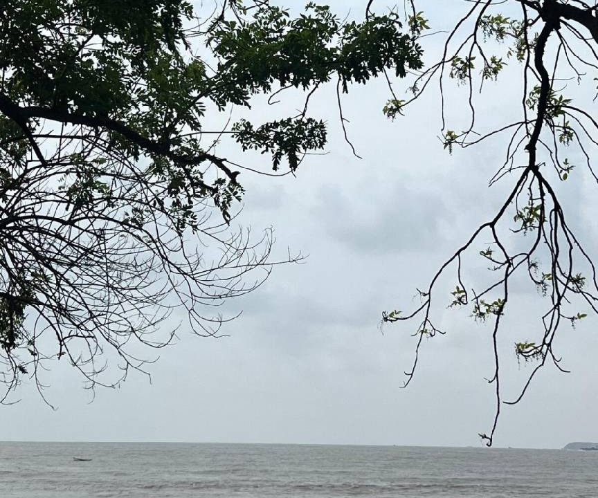Photo of Others in Mumbai