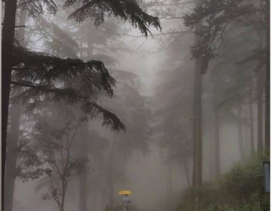 Photo of Others in Almora