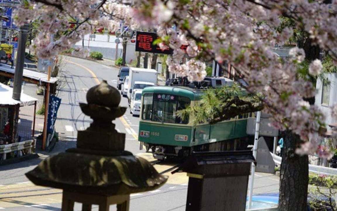 Photo of Others in Koshigoe