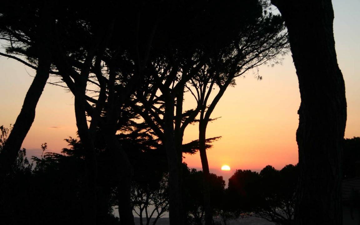 Photo of Others in Livorno