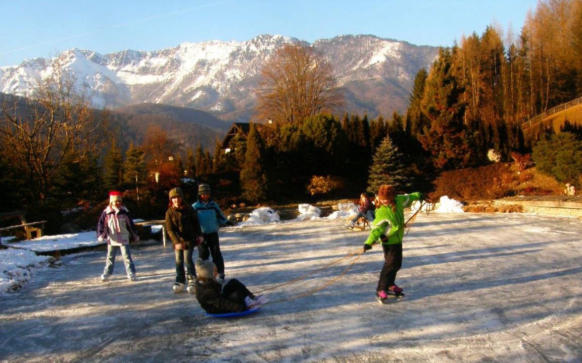 Photo of Others in Bad Goisern