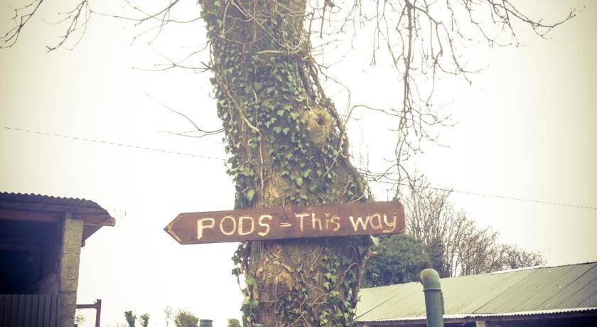 Photo of Others in Ballyfoyle