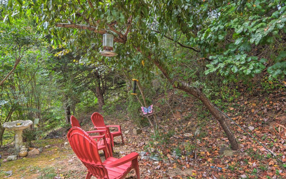 Photo of Others in Hiawassee