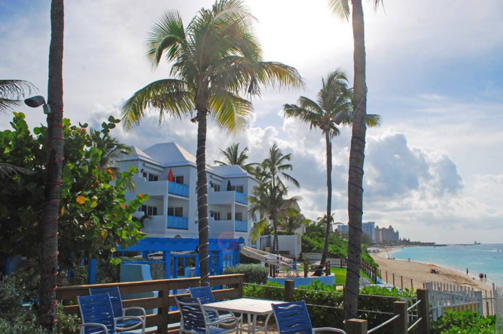 Photo of Others in Paradise Island