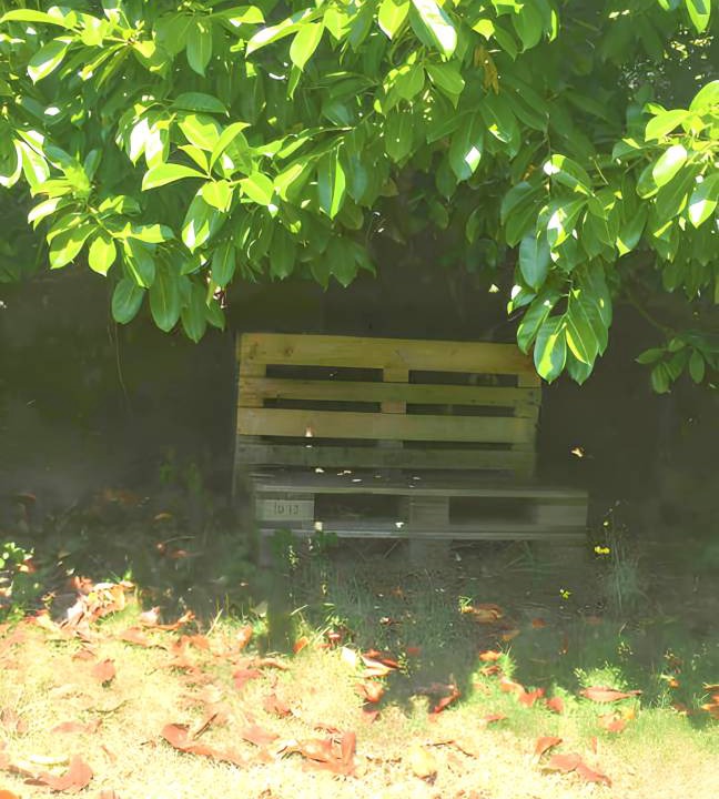 Photo of Others in Plouedern