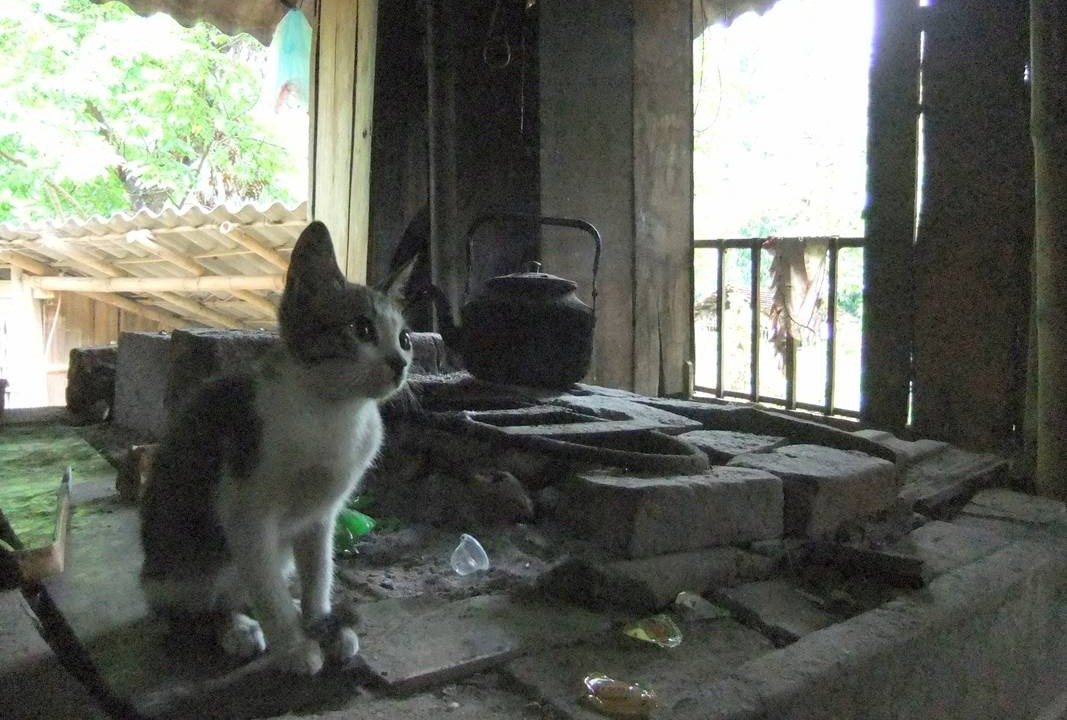 Photo of Others in Mai Chau