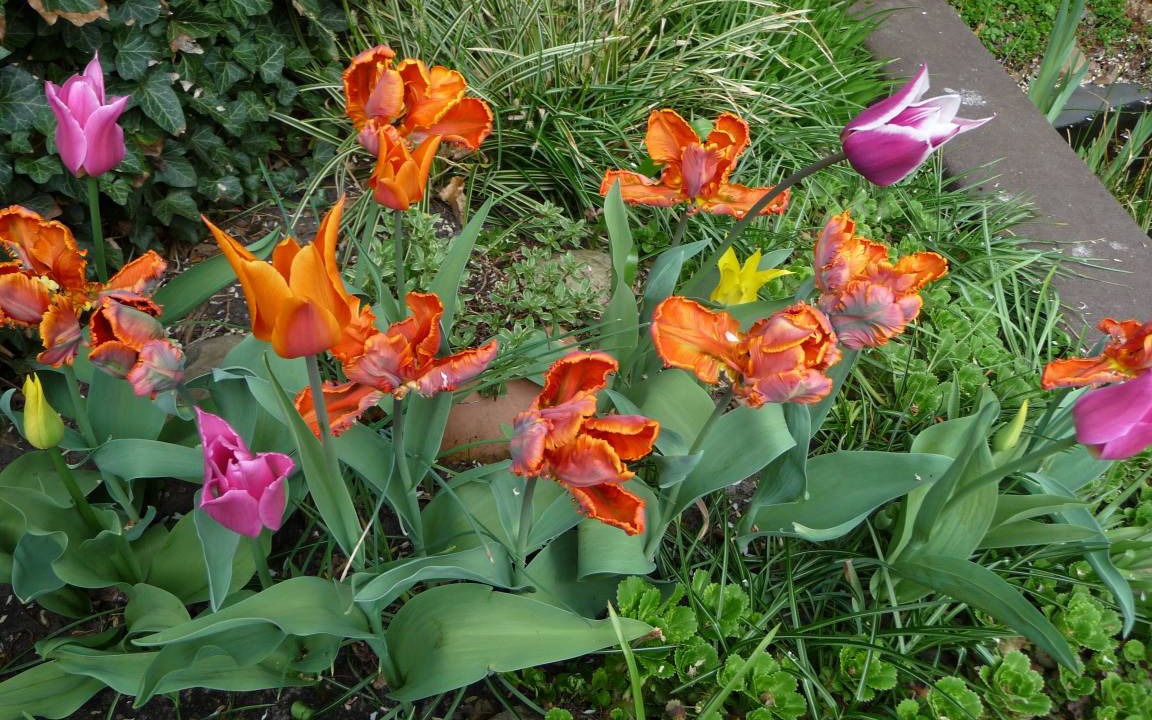 Photo of Outdoor in Delmenhorst