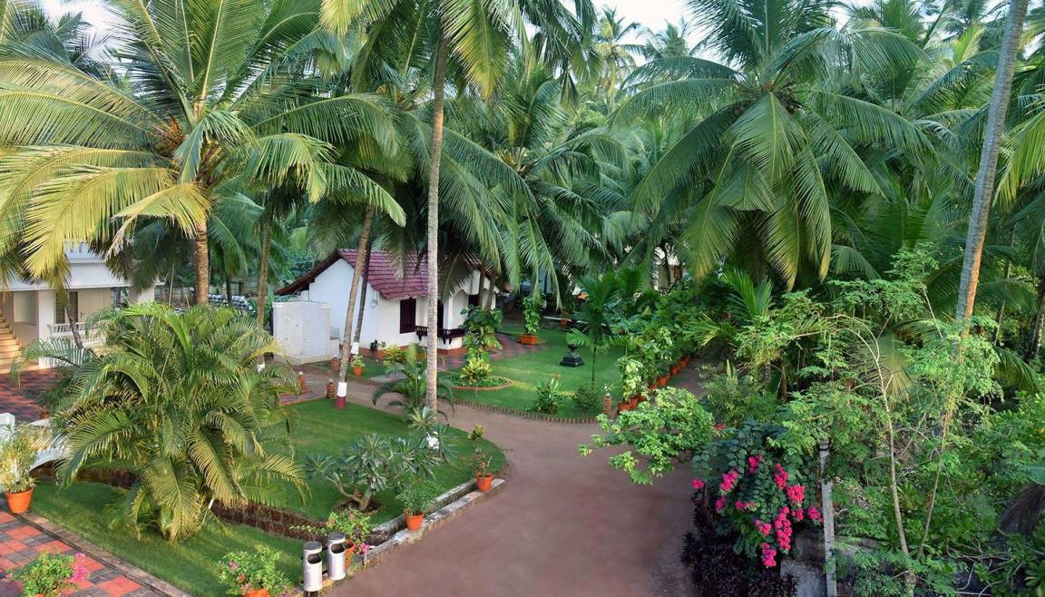 Photo of Others in Kannur