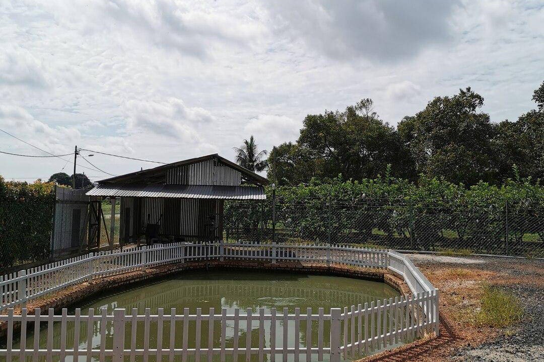 Photo of Others in Klebang Besar