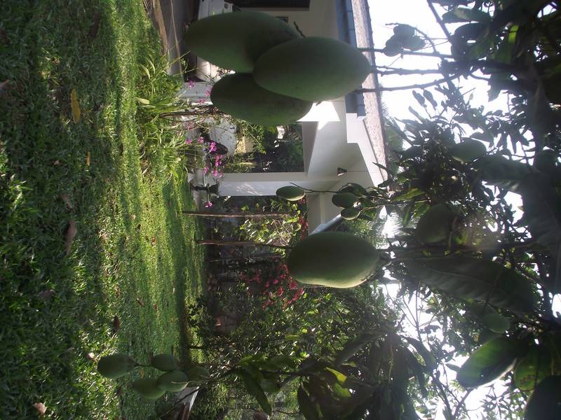 Photo of Others in Walapane