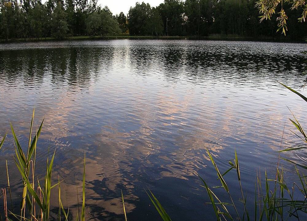 Photo of Others in Oberhavel