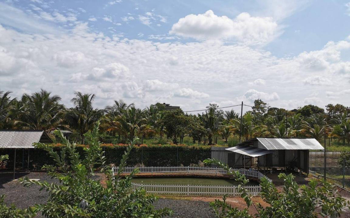 Photo of Others in Klebang Besar