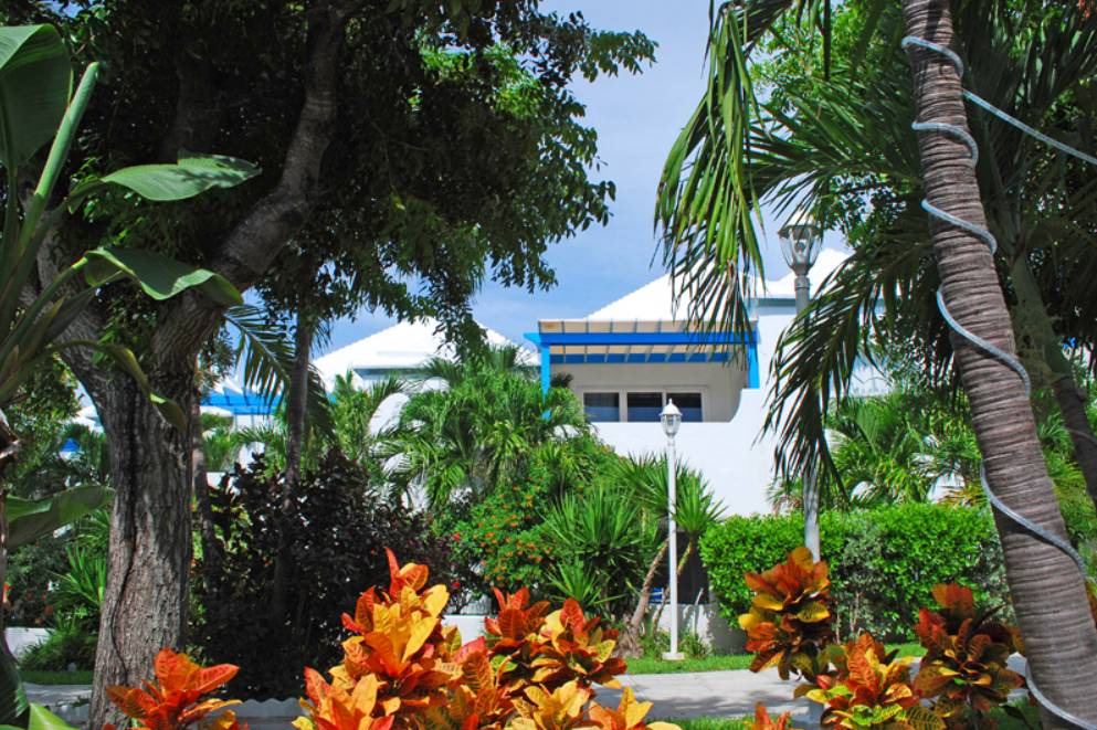 Photo of Others in Paradise Island