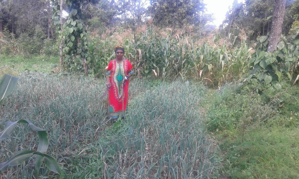 Photo of Others in Ongata Rongai