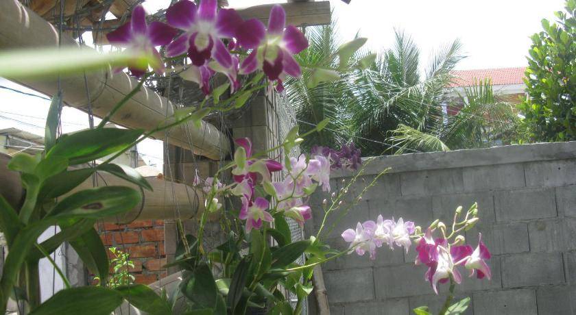 Photo of Others in Dangkao