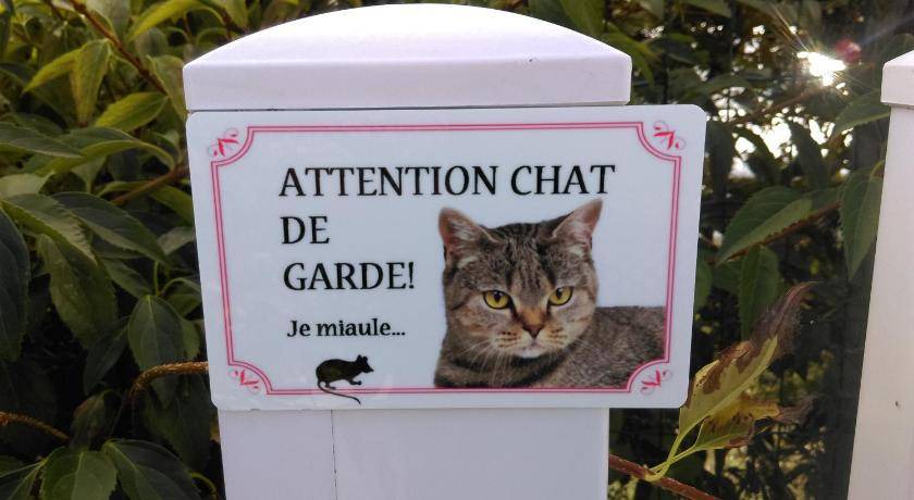 Photo of Others in Saint-Georges-sur-Cher