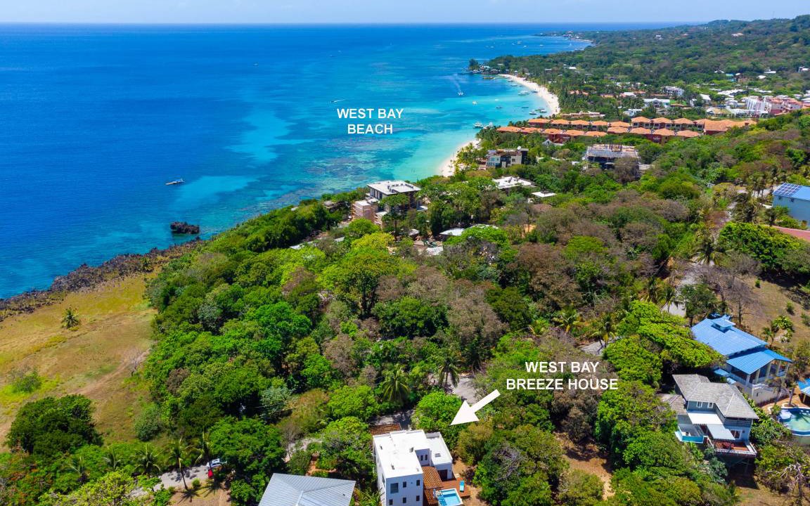 Photo of Others in Lighthouse Estates