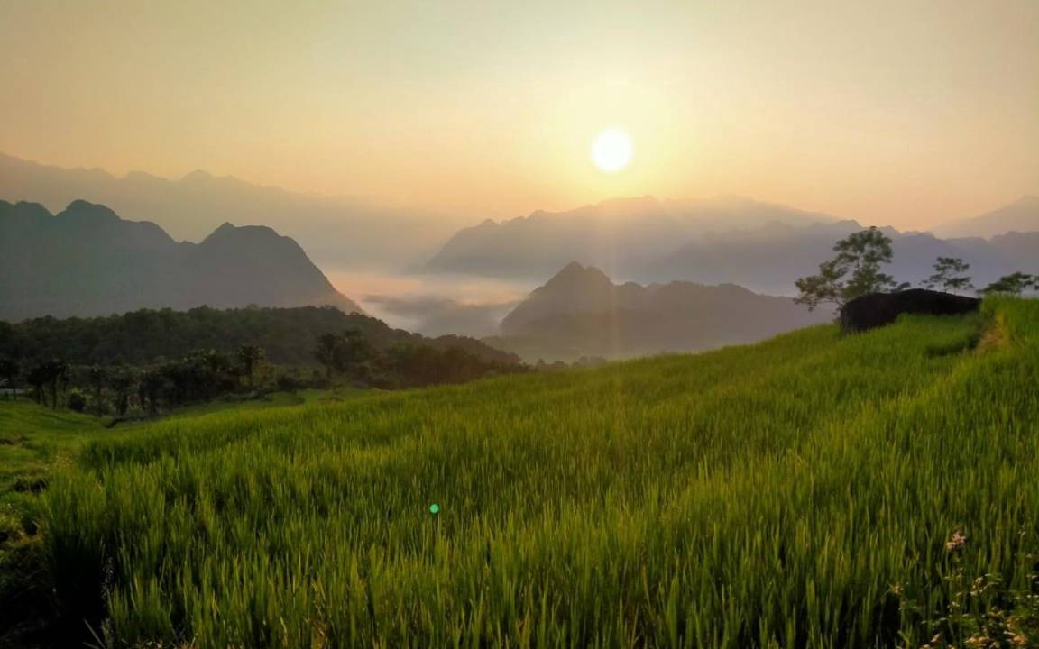 Photo of Others in Kho Muong