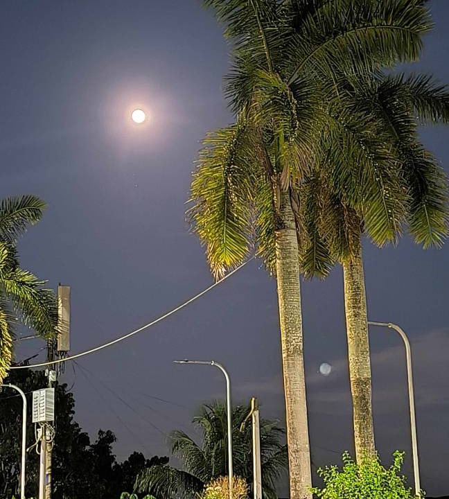 Photo of Others in Iquitos