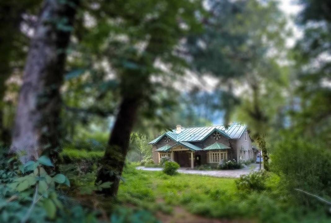 Photo of Others in Nainital
