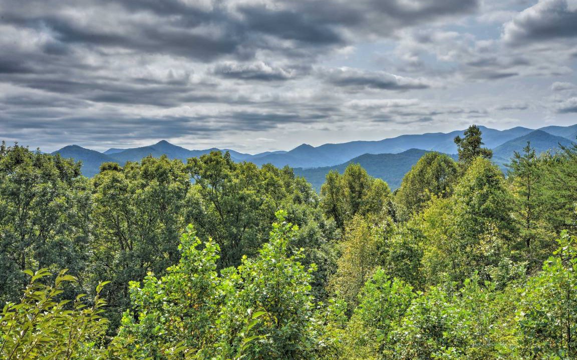 Photo of Others in Hiawassee