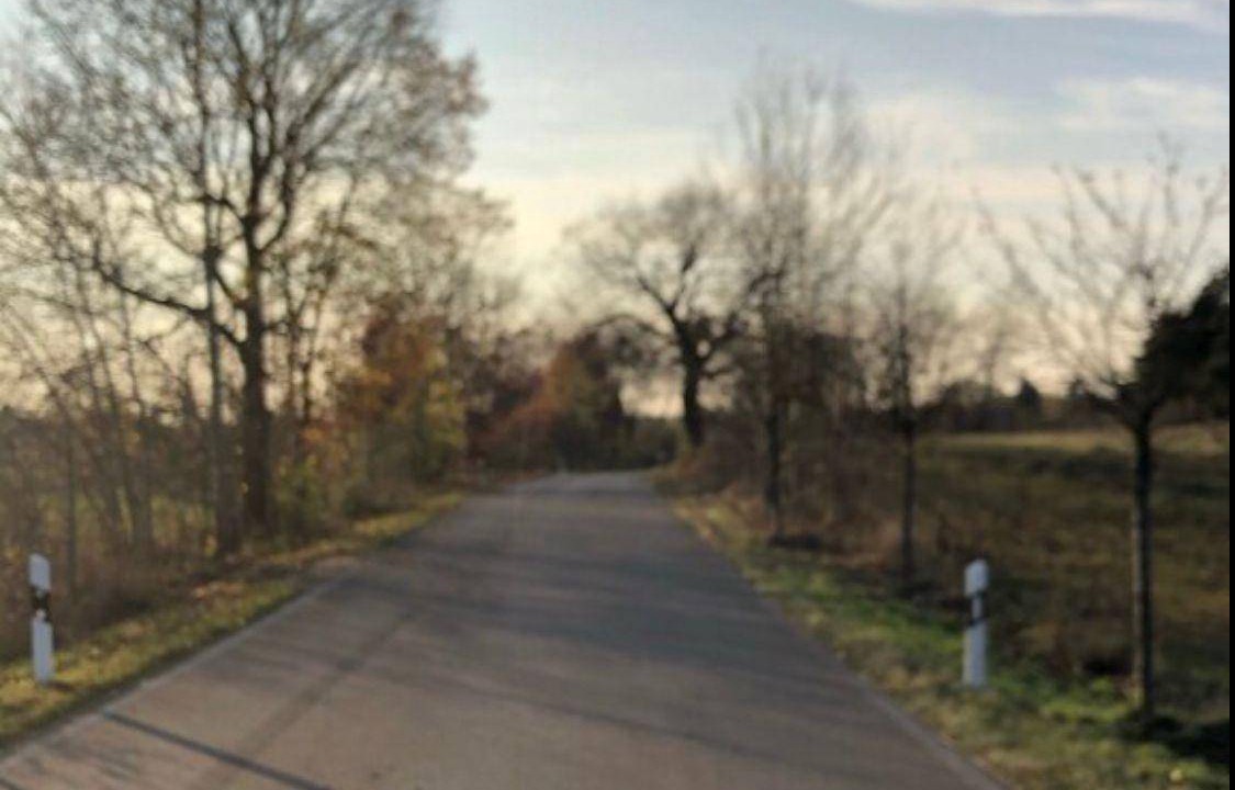 Photo of Others in Milmersdorf