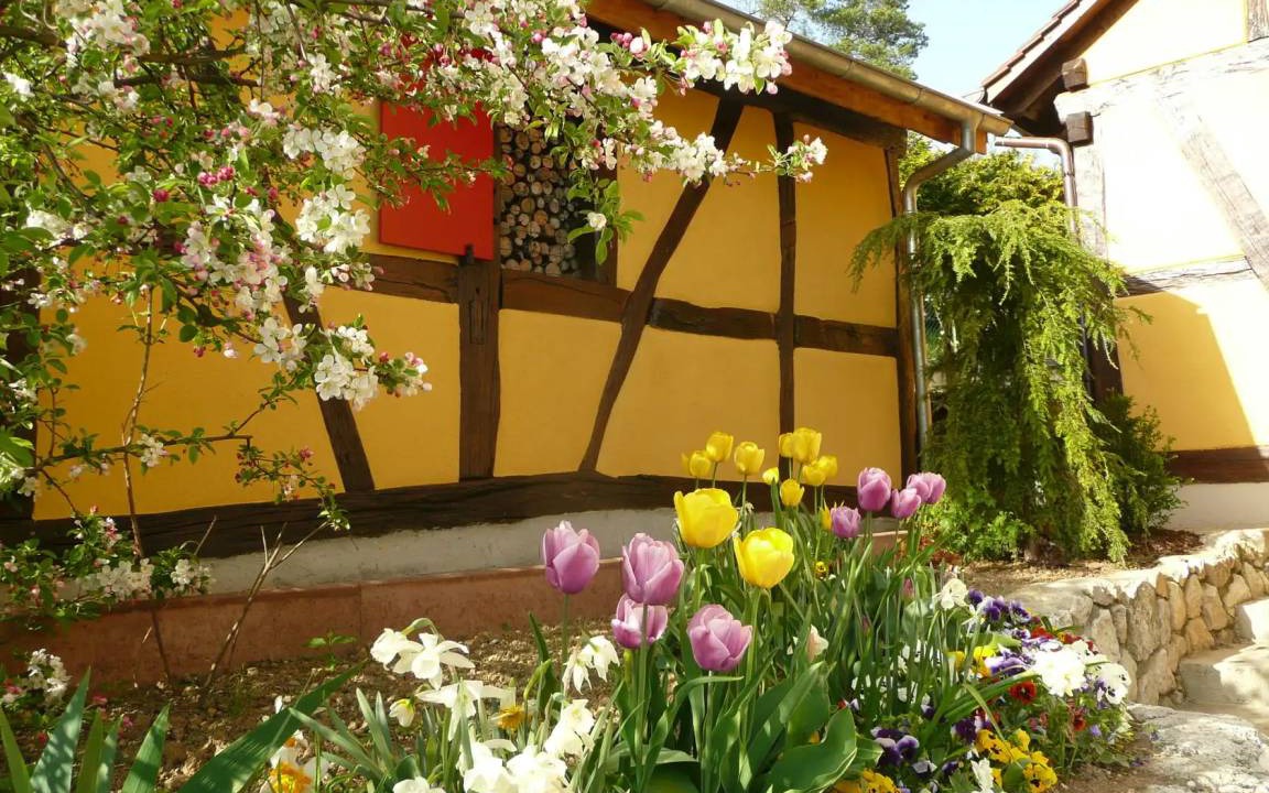 Photo of Others in Raedersdorf