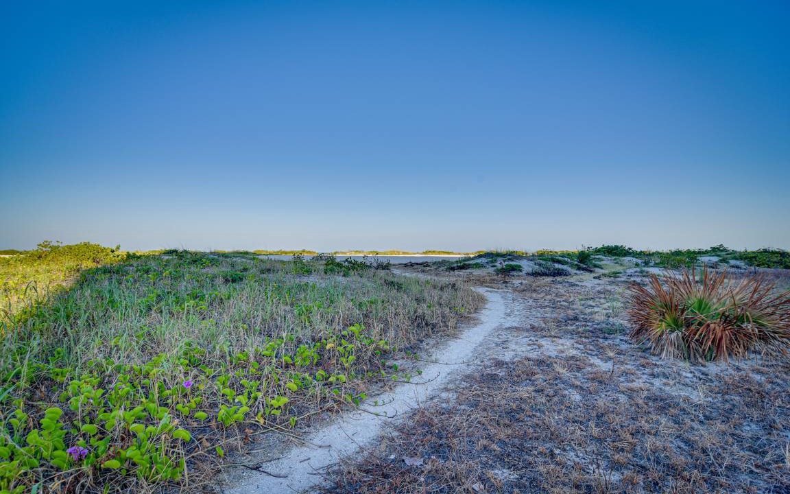 Photo of Others in Sand Key
