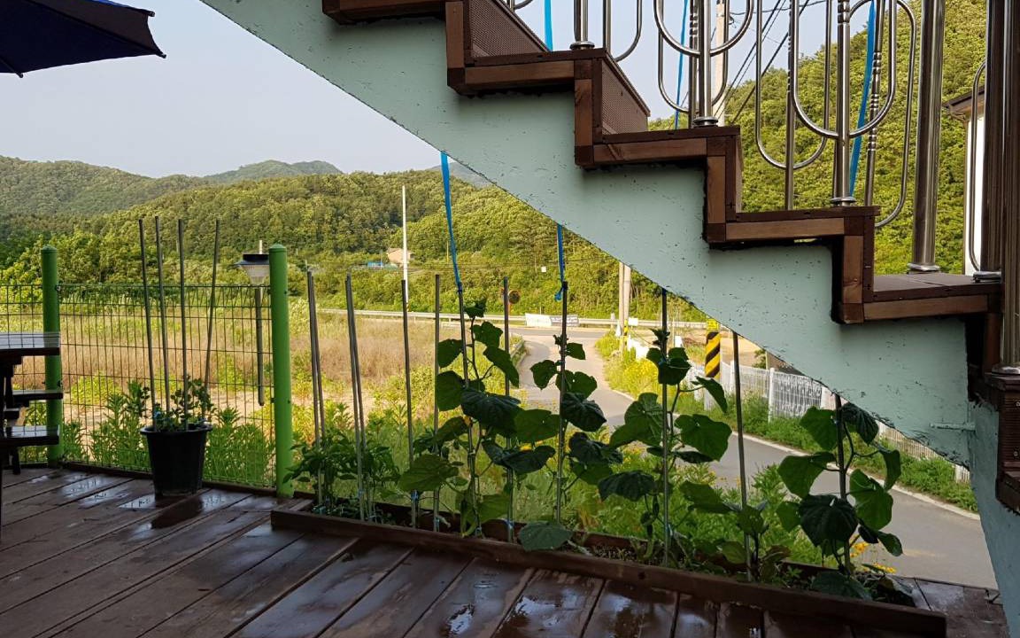 Photo of Others in Hongcheon
