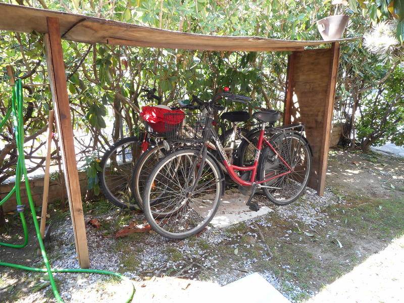 Photo of Others in San Giuliano Terme