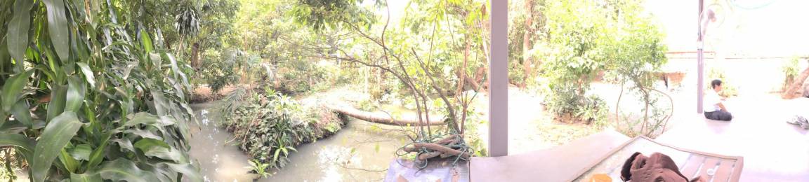 Photo of Others in Bangkok Yai