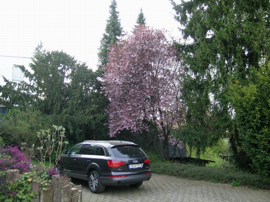 Photo of Outdoor in Manderscheid