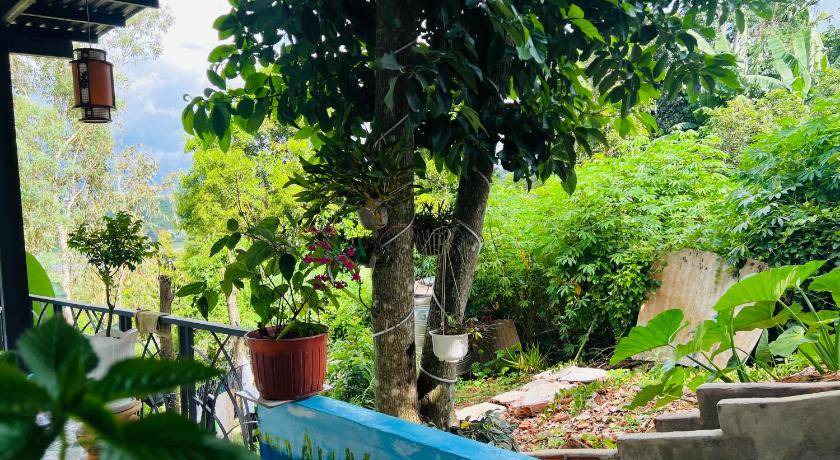 Photo of Others in Pleiku