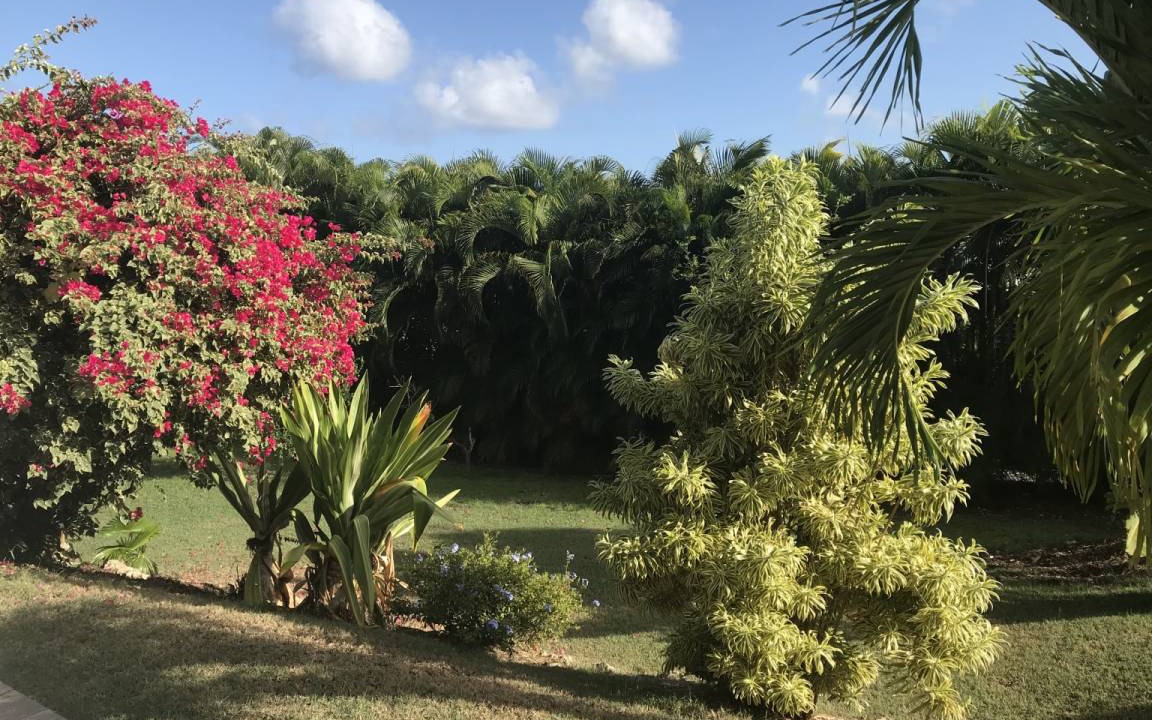 Photo of Others in Anse des Rochers