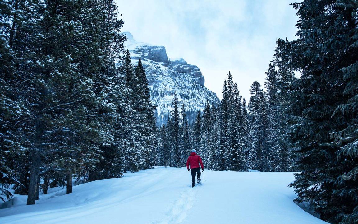 Photo of Others in Bow Lake