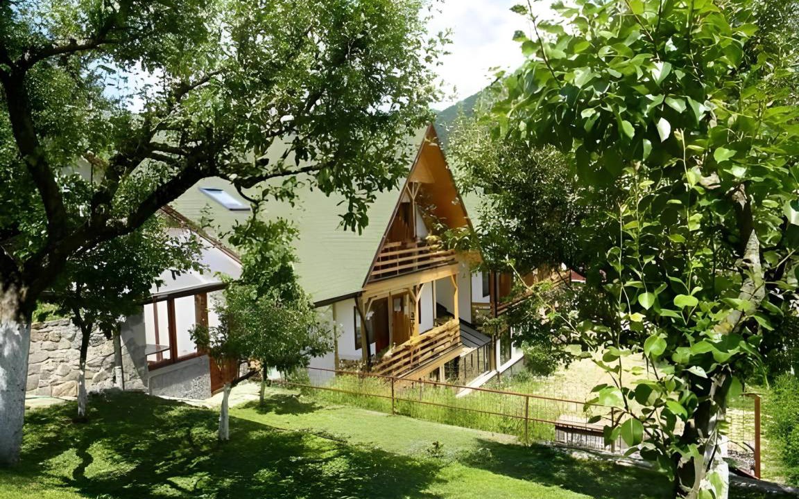 Photo of Others in Sinaia