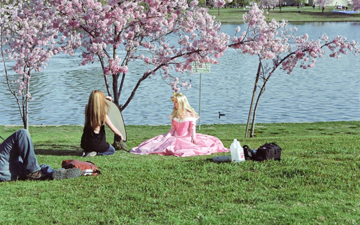 Photo of Others in Lake Balboa