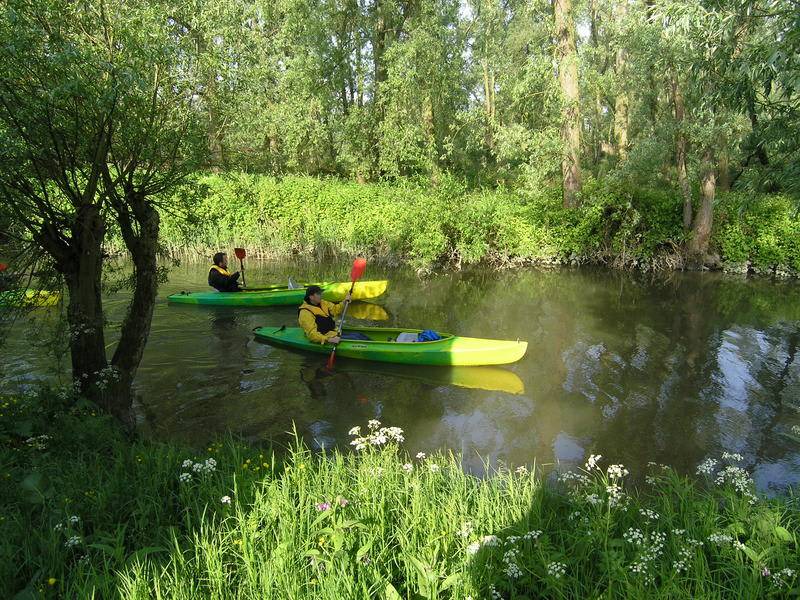 Photo of Others in Municipality of Dordrecht
