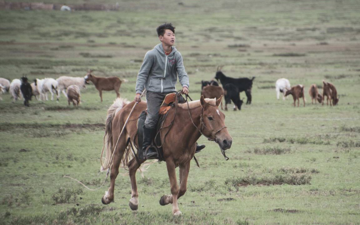 Photo of Others in Downtown Ulaanbaatar