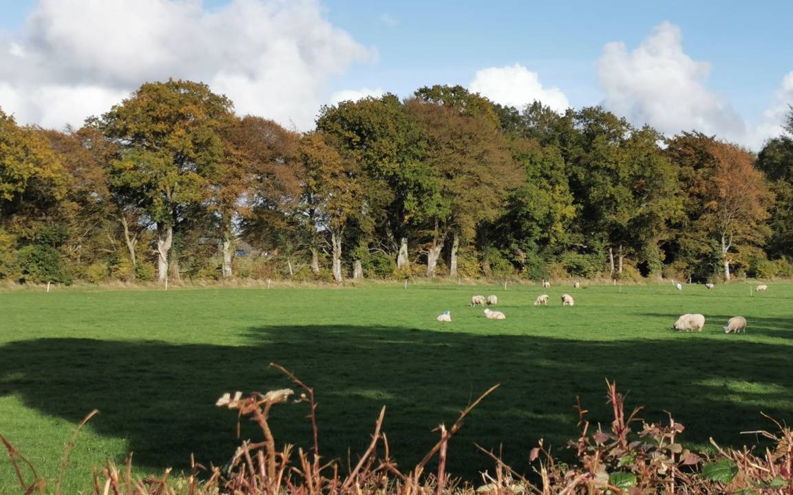 Photo of Others in Knockaderry Cross Roads