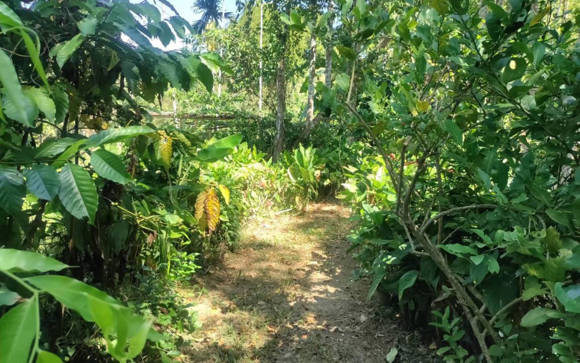 Photo of Others in Koh Chang Tai