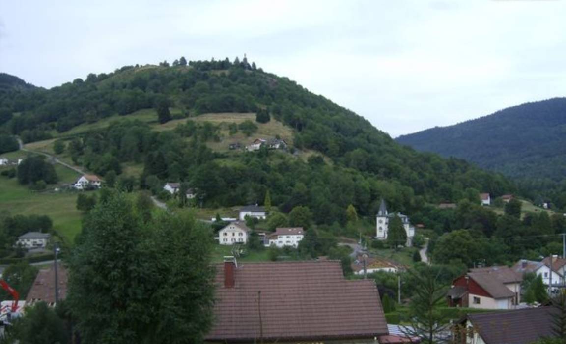 Photo of Others in Travexin