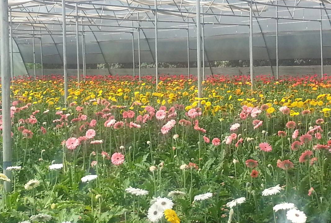 Photo of Outdoor in Hoshiarpur
