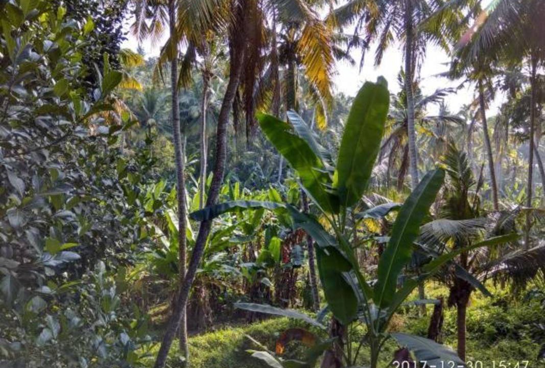 Photo of Others in Kazhakuttam