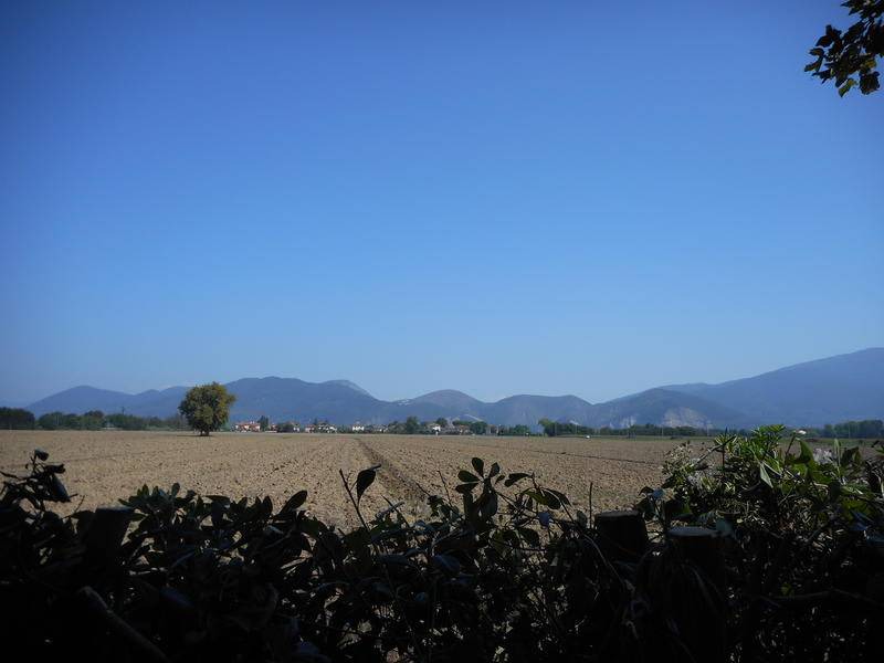 Photo of Others in San Giuliano Terme