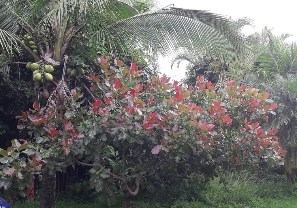 Photo of Others in La Garita