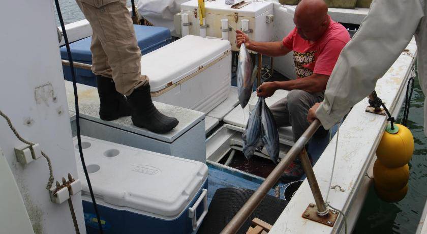 Photo of Others in Shima