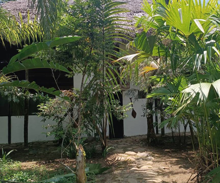 Photo of Others in Puerto Misahualli